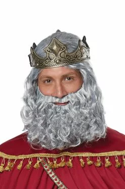 Biblical King Adult Wig And Beard