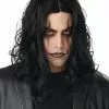 Dark Avenger Adult Wig