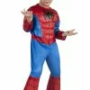 Spider-Man Toddler Costume 2 Spider-Man Toddler Costume -Ghost Couture Store J0674 full 1