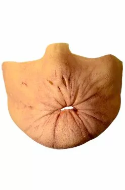 Arseface Appliance Kit